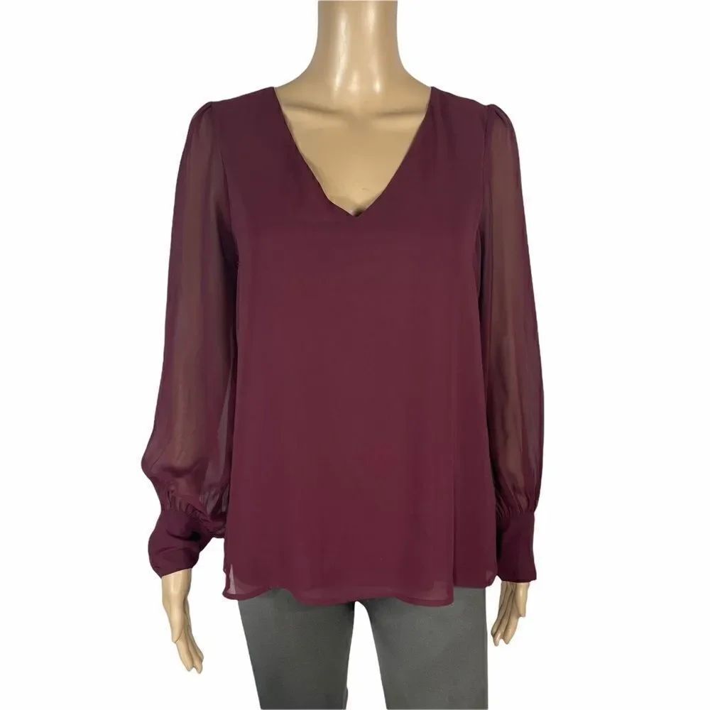 Express Maroon Long Sleeve V-Neck Blouse
